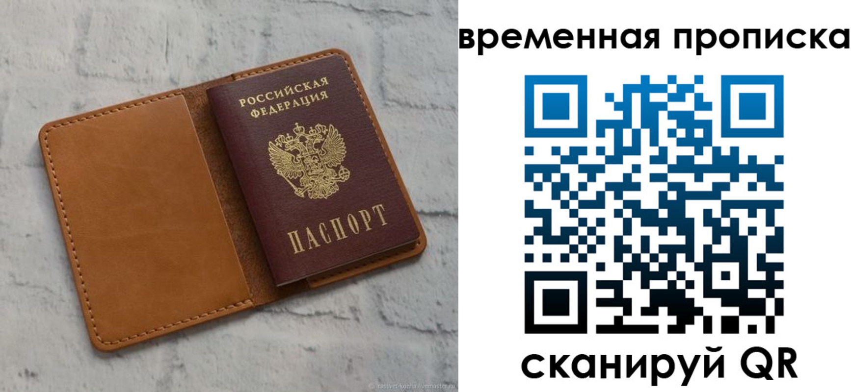 прописка поиск в Ивантеевке